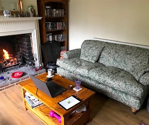 Customer Photos: Hampton 3 Seater Sofa in Bird & Rabbit Dark Green