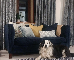 Customer Photos: Haresfield 3 Seater Straight Arm Sofa in Haresfield 3 Seater Straight Arm Sofa in Traditional Vintage Velvet Navy