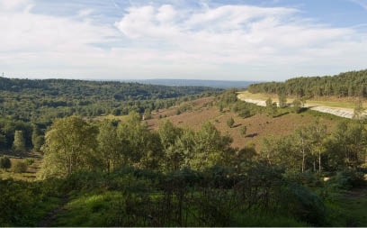 Hindhead Commons