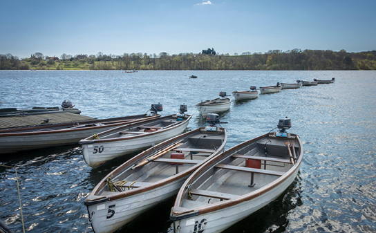 Bewl Water